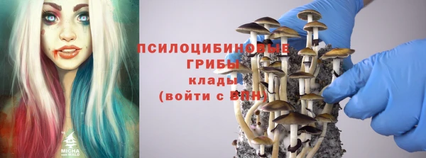 таблы Алексеевка