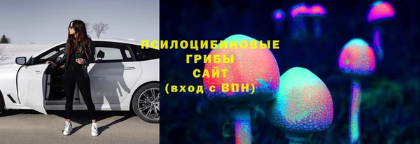 спайс Алзамай