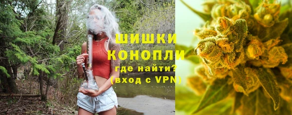 ГАЛЛЮЦИНОГЕННЫЕ ГРИБЫ Абаза