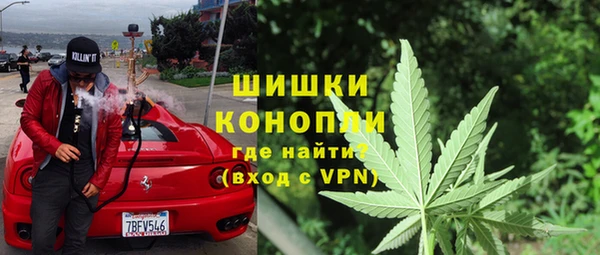 спайс Алзамай
