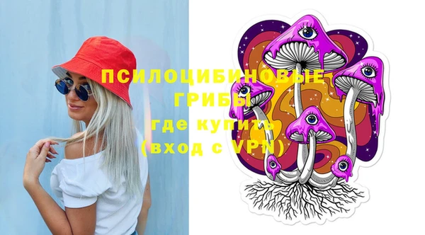 ГАЛЛЮЦИНОГЕННЫЕ ГРИБЫ Абаза
